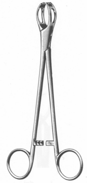  Lane Forceps